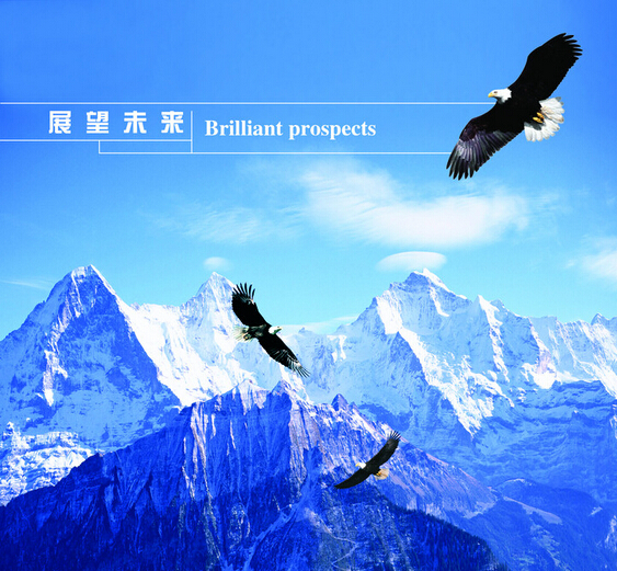 河北萬(wàn)環(huán)環(huán)?？萍加邢薰?></a>
            </dt>
            <dd>
                <h4><a href=